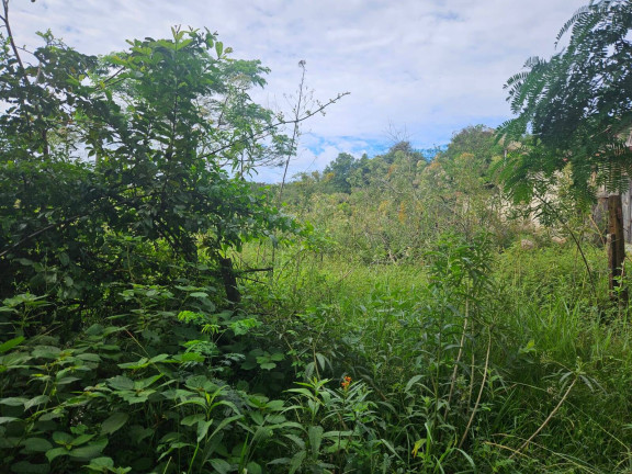 Imagem Chácara à Venda, 2 m² em Arapongas Imagem Chácara à Venda, 2 m² em Arapongas