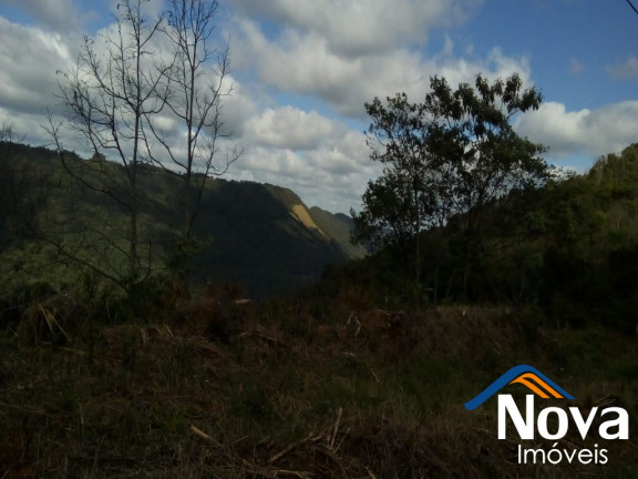 Imagem Imóvel à Venda, 429 m² em São Jacó - Nova Petrópolis Imagem Imóvel à Venda, 429 m² em São Jacó - Nova Petrópolis