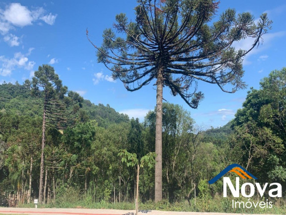 Imagem Imóvel à Venda, 444 m² em Linha Imperial - Nova Petrópolis