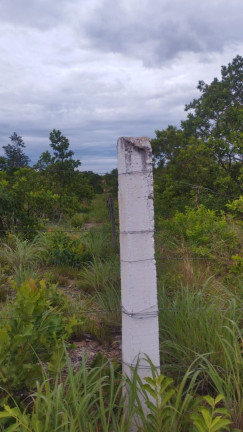 Imagem Terreno à Venda ou Locação, 5.000 m² em Zona Rural - Coxipó Do Ouro (cuiabá) - Distrito Imagem Terreno à Venda ou Locação, 5.000 m² em Zona Rural - Coxipó Do Ouro (cuiabá) - Distrito