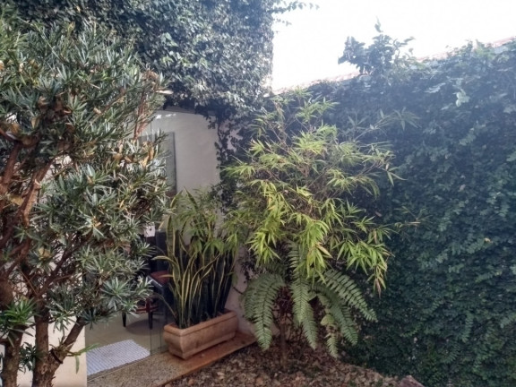 Imagem Casa com 3 Quartos à Venda, 180 m² em Bauru