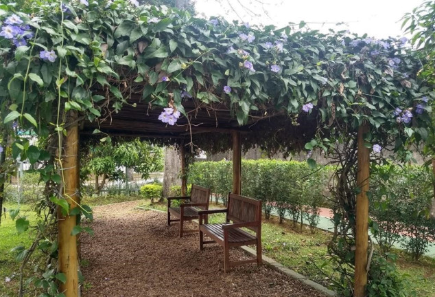 Imagem Imóvel com 2 Quartos à Venda, 50 m² em Vila Granada - São Paulo Imagem Imóvel com 2 Quartos à Venda, 50 m² em Vila Granada - São Paulo