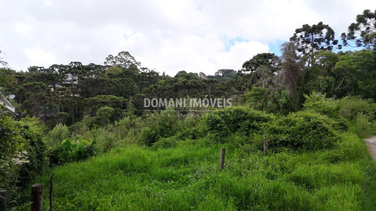 Imagem Terreno à Venda, 1.590 m² em Região De Capivari - Campos Do Jordão