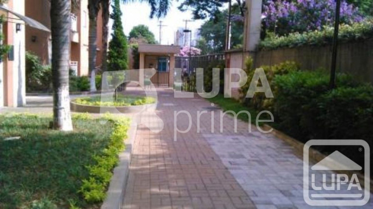 Imagem Apartamento com 2 Quartos à Venda, 50 m² em Parque Novo Mundo - São Paulo Imagem Apartamento com 2 Quartos à Venda, 50 m² em Parque Novo Mundo - São Paulo