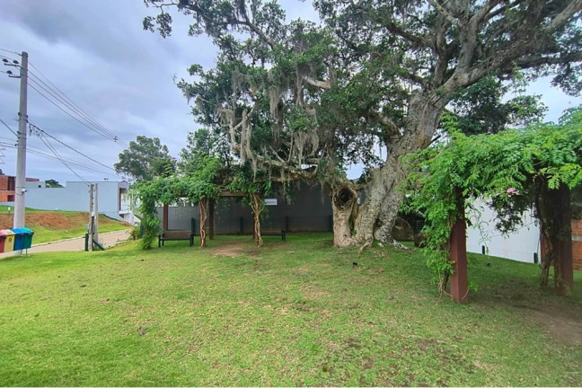 Imagem Terreno à Venda, 220 m² em Augusta - Viamão