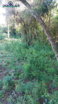 Imagem Terreno à Venda, 2.400 m² em Viamão Imagem Terreno à Venda, 2.400 m² em Viamão