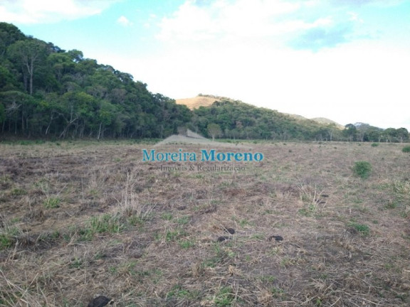 Imagem Imóvel à Venda, 200 m² em Zona Rural - Borda Da Mata Imagem Imóvel à Venda, 200 m² em Zona Rural - Borda Da Mata