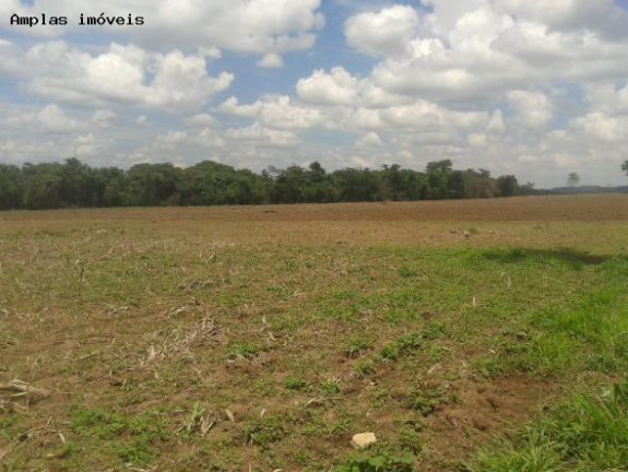 Imagem Fazenda à Venda, 52 m² em Florestal Imagem Fazenda à Venda, 52 m² em Florestal