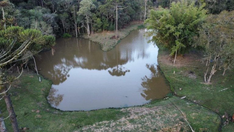 Imagem Imóvel com 5 Quartos à Venda, 48.000 m² em São João Do Caiva - Lapa Imagem Imóvel com 5 Quartos à Venda, 48.000 m² em São João Do Caiva - Lapa
