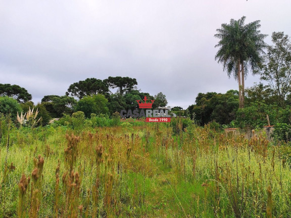 Imagem Terreno à Venda, em São Braz - Curitiba Imagem Terreno à Venda, em São Braz - Curitiba