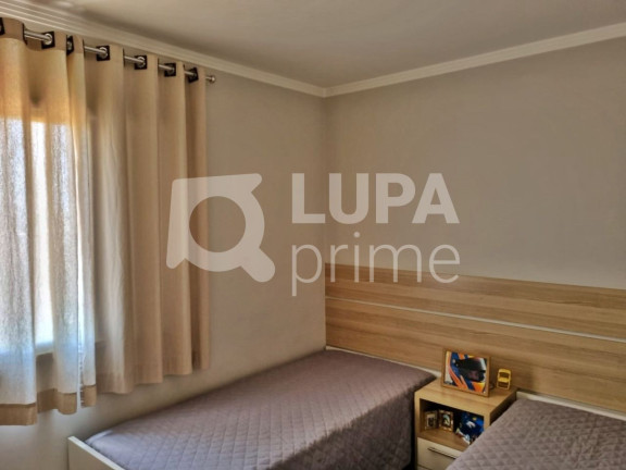 Imagem Apartamento com 3 Quartos à Venda, 70 m² em Vila Maria - São Paulo Imagem Apartamento com 3 Quartos à Venda, 70 m² em Vila Maria - São Paulo