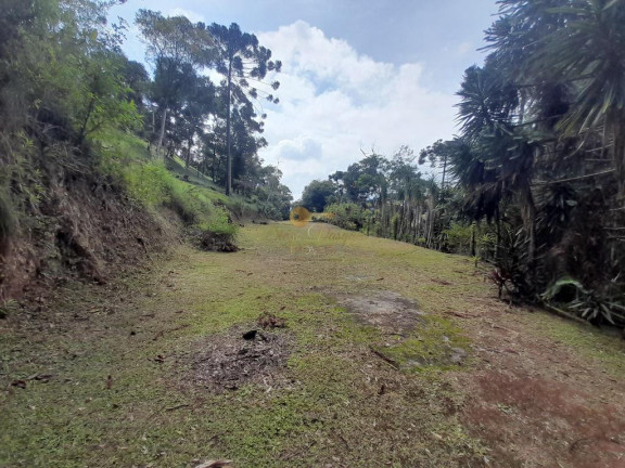Imagem Chácara com 6 Quartos à Venda, 15.235 m² em Santa Rita - Teresópolis Imagem Chácara com 6 Quartos à Venda, 15.235 m² em Santa Rita - Teresópolis