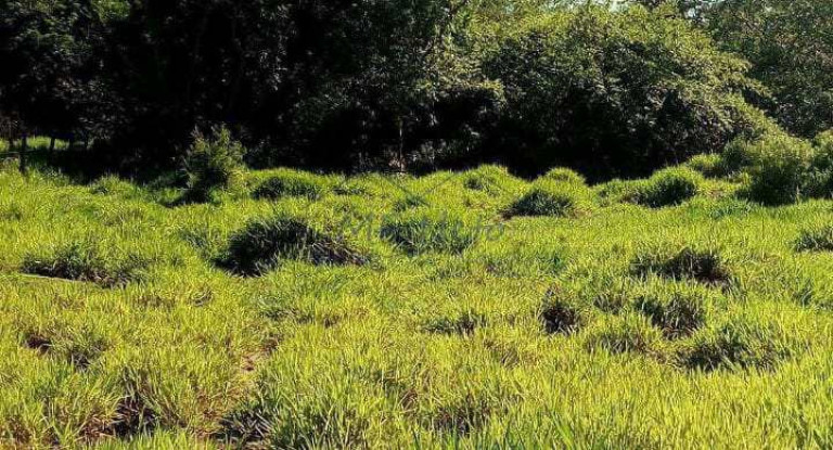 Imagem Terreno à Venda, 6.000 m² em Vila Santa Fé - Pirassununga Imagem Terreno à Venda, 6.000 m² em Vila Santa Fé - Pirassununga