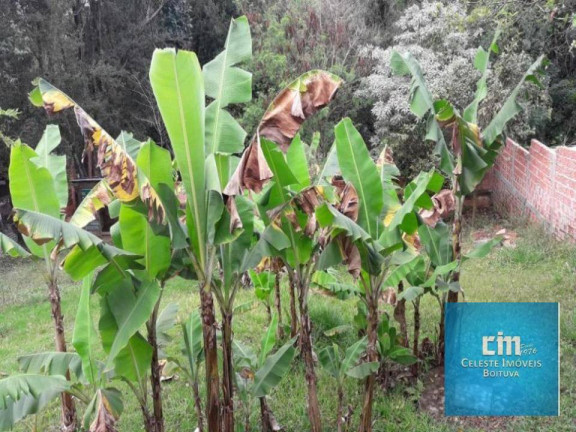 Imagem Chácara com 3 Quartos à Venda, 145 m² em Jardim Flamboyant Iii - Boituva Imagem Chácara com 3 Quartos à Venda, 145 m² em Jardim Flamboyant Iii - Boituva
