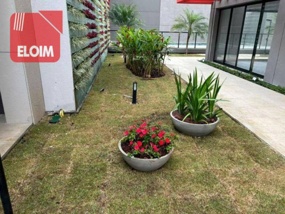 Imagem Apartamento com 2 Quartos à Venda, 53 m² em Ipiranga - São Paulo Imagem Apartamento com 2 Quartos à Venda, 53 m² em Ipiranga - São Paulo