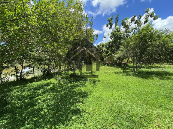 Imagem Imóvel com 5 Quartos à Venda, 780.000 m² em Zona Rual - Simões Filho Imagem Imóvel com 5 Quartos à Venda, 780.000 m² em Zona Rual - Simões Filho