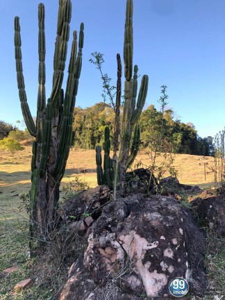 Imagem Chácara à Venda, 62.900 m² em Pardinho Imagem Chácara à Venda, 62.900 m² em Pardinho