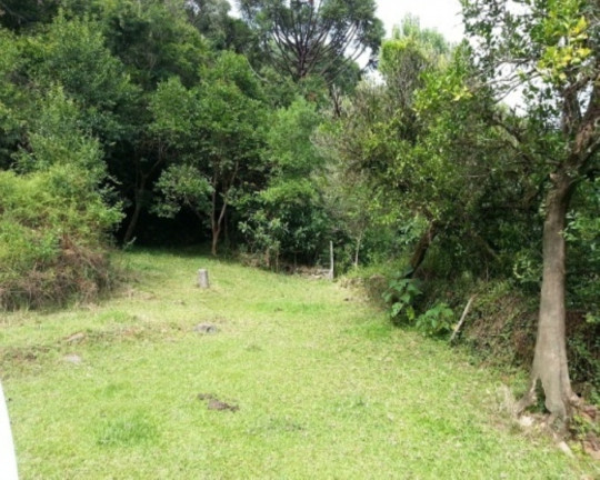 Imagem Terreno à Venda, 30 m² em Linha Bonita - Gramado Imagem Terreno à Venda, 30 m² em Linha Bonita - Gramado