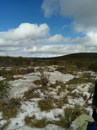 Imagem Fazenda à Venda, 200.000 m² em Zona Rural - Mucugê