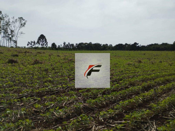Imagem Chácara à Venda, 121.000 m² em Centro - Santa Maria Do Oeste Imagem Chácara à Venda, 121.000 m² em Centro - Santa Maria Do Oeste