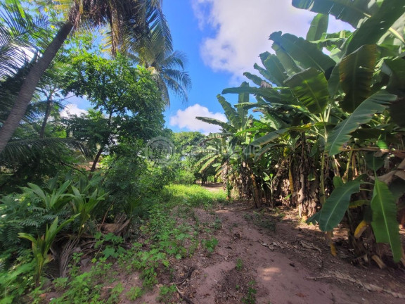 Imagem Terreno à Venda, 23.650 m² em Igapó - Natal Imagem Terreno à Venda, 23.650 m² em Igapó - Natal