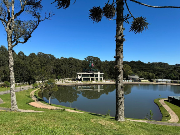 Imagem Terreno à Venda, 978 m² em Vale Das Colinas - Gramado