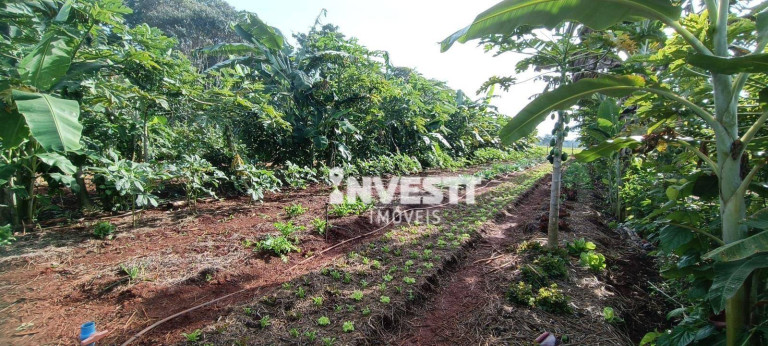 Imagem Chácara com 1 Quarto à Venda, 2.390 m² em Florata Condomínio Florestal - Santo Antônio De Goiás Imagem Chácara com 1 Quarto à Venda, 2.390 m² em Florata Condomínio Florestal - Santo Antônio De Goiás