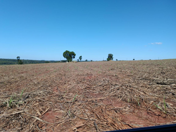 Imagem Chácara à Venda, 29 m² em Rural - Avaré Imagem Chácara à Venda, 29 m² em Rural - Avaré