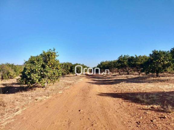 Imagem Fazenda à Venda, 500 m² em Zona Rural - Goianápolis Imagem Fazenda à Venda, 500 m² em Zona Rural - Goianápolis