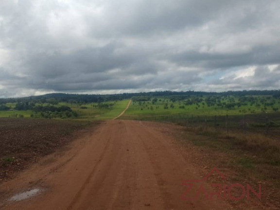Imagem Fazenda à Venda, 13.000 m² em Jardim Paraíso - Naviraí