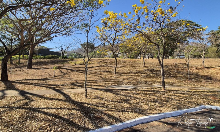 Terreno à Venda, 1.929 m² em Residencial Aldeia Do Vale - Goiânia