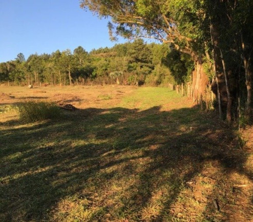 Imagem Terreno à Venda, em Vila Nova - Porto Alegre Imagem Terreno à Venda, em Vila Nova - Porto Alegre