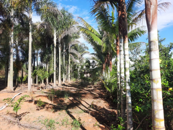 Imagem Imóvel à Venda, 48.000 m² em Ponte De Tábua - Artur Nogueira Imagem Imóvel à Venda, 48.000 m² em Ponte De Tábua - Artur Nogueira
