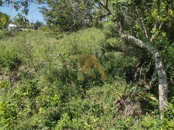 Imagem Terreno à Venda,  em Ibiraquera - Imbituba