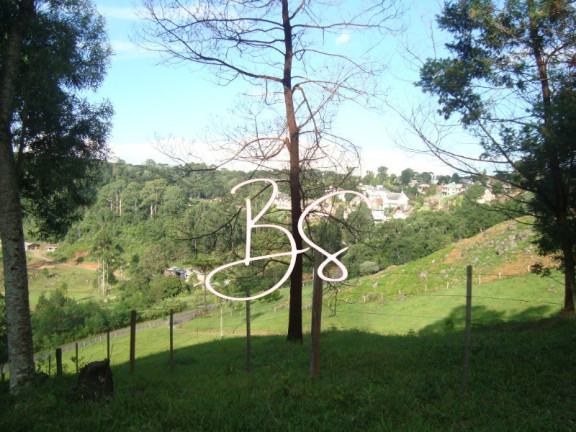 Imagem Terreno à Venda, 50.000 m² em Linha Bonita - Gramado Imagem Terreno à Venda, 50.000 m² em Linha Bonita - Gramado
