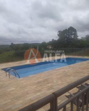 Imagem Apartamento com 3 Quartos à Venda, 90 m² em Jardim ísis - Cotia Imagem Apartamento com 3 Quartos à Venda, 90 m² em Jardim ísis - Cotia