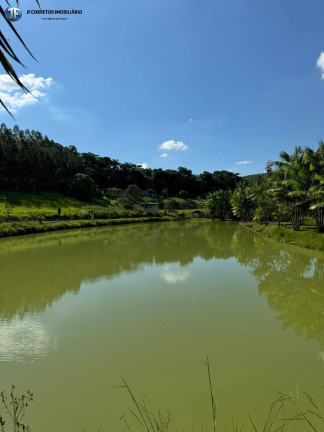 Imagem Chácara com 6 Quartos à Venda, 55.000 m² em Belo Oriente