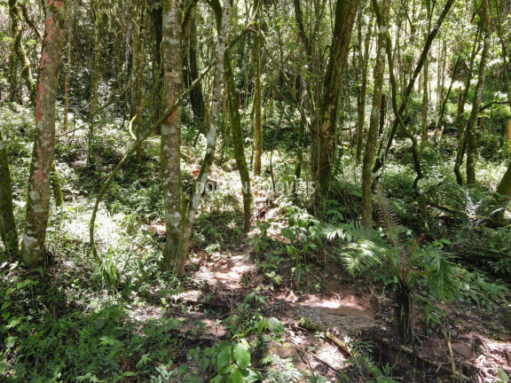 Imagem Terreno à Venda, 970 m² em Região Do Alto Da Vila Inglesa - Campos Do Jordão Imagem Terreno à Venda, 970 m² em Região Do Alto Da Vila Inglesa - Campos Do Jordão
