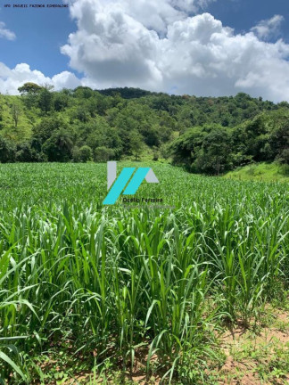 Imagem Fazenda à Venda, 30 m² em Azurita - Mateus Leme Imagem Fazenda à Venda, 30 m² em Azurita - Mateus Leme