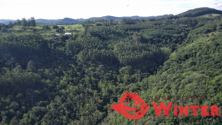 Imagem Chácara à Venda, 70 m² em Morro Grande - Linha Nova Imagem Chácara à Venda, 70 m² em Morro Grande - Linha Nova