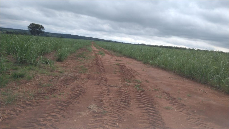 Imagem Fazenda à Venda, 42 m² em Rural - Avaré Imagem Fazenda à Venda, 42 m² em Rural - Avaré
