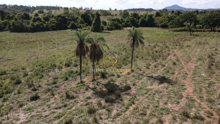 Imagem Imóvel com 3 Quartos à Venda, em Zona Rural - Morro Agudo De Goiás Imagem Imóvel com 3 Quartos à Venda, em Zona Rural - Morro Agudo De Goiás