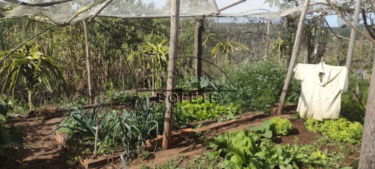 Imagem Imóvel com 3 Quartos à Venda, 22.800 m² em São Marcos - Bofete