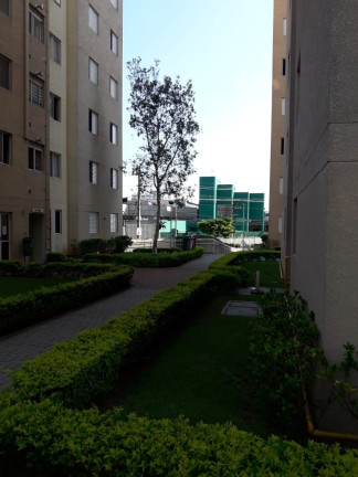 Imagem Apartamento com 3 Quartos à Venda, 60 m² em Sítio Pinheirinho - São Paulo