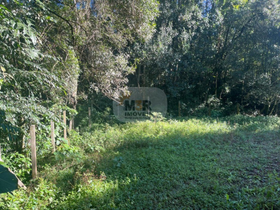 Imagem Casa com 2 Quartos à Venda, 336 m² em Pousada Da Neve - Nova Petrópolis