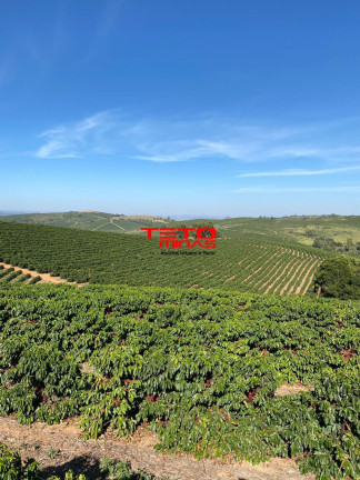 Imagem Imóvel à Venda, em Muzambinho - Muzambinho Imagem Imóvel à Venda, em Muzambinho - Muzambinho