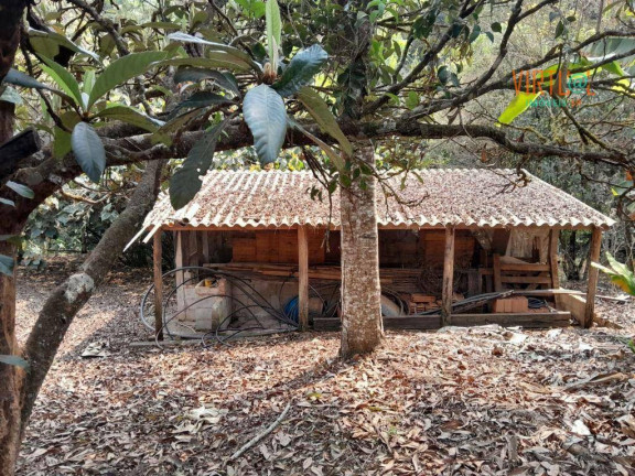 Imagem Fazenda à Venda, 25.800 m² em Caconde - Caconde Imagem Fazenda à Venda, 25.800 m² em Caconde - Caconde