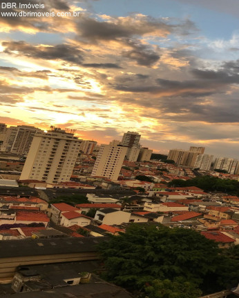 Imagem Apartamento com 3 Quartos à Venda, 64 m² em Tatuapé - Sao Paulo Imagem Apartamento com 3 Quartos à Venda, 64 m² em Tatuapé - Sao Paulo