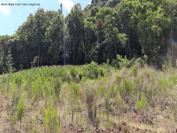 Imagem Terreno à Venda, 361 m² em Pinhal Alto - Nova Petrópolis Imagem Terreno à Venda, 361 m² em Pinhal Alto - Nova Petrópolis