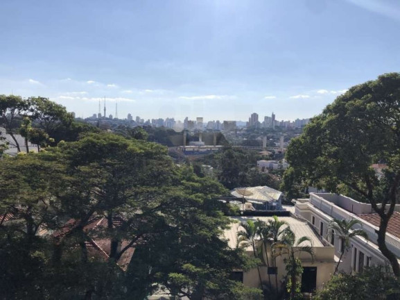 Imagem Apartamento com 3 Quartos à Venda, 193 m² em Higienópolis - São Paulo